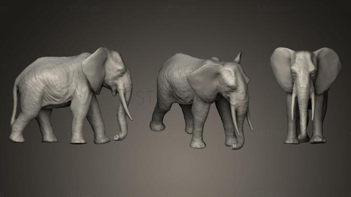 Статуэтки животных Elephant15